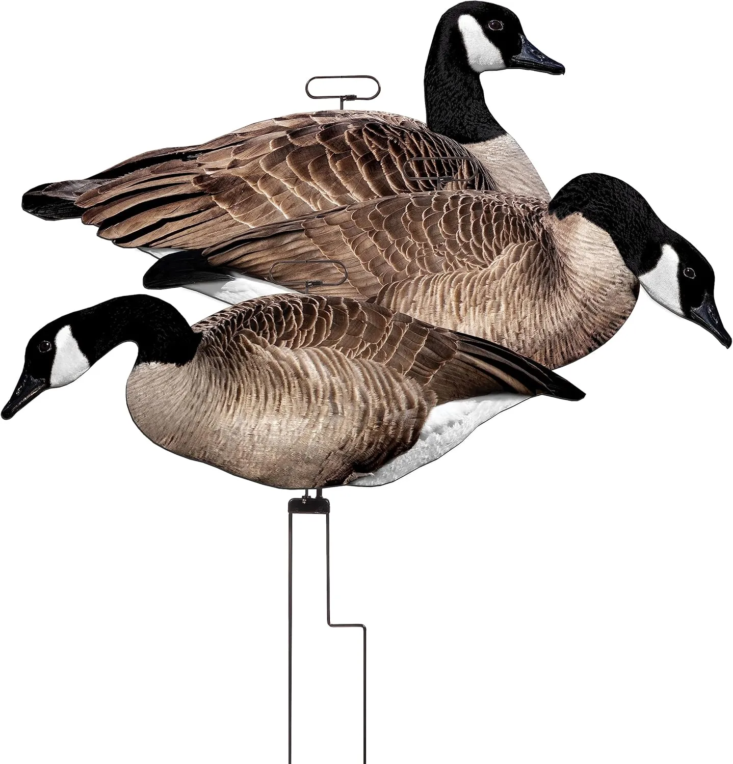 Higdon Outdoors Flats Magnum Canada Motion Silhouette Canada Goose Decoys, 12-Pack