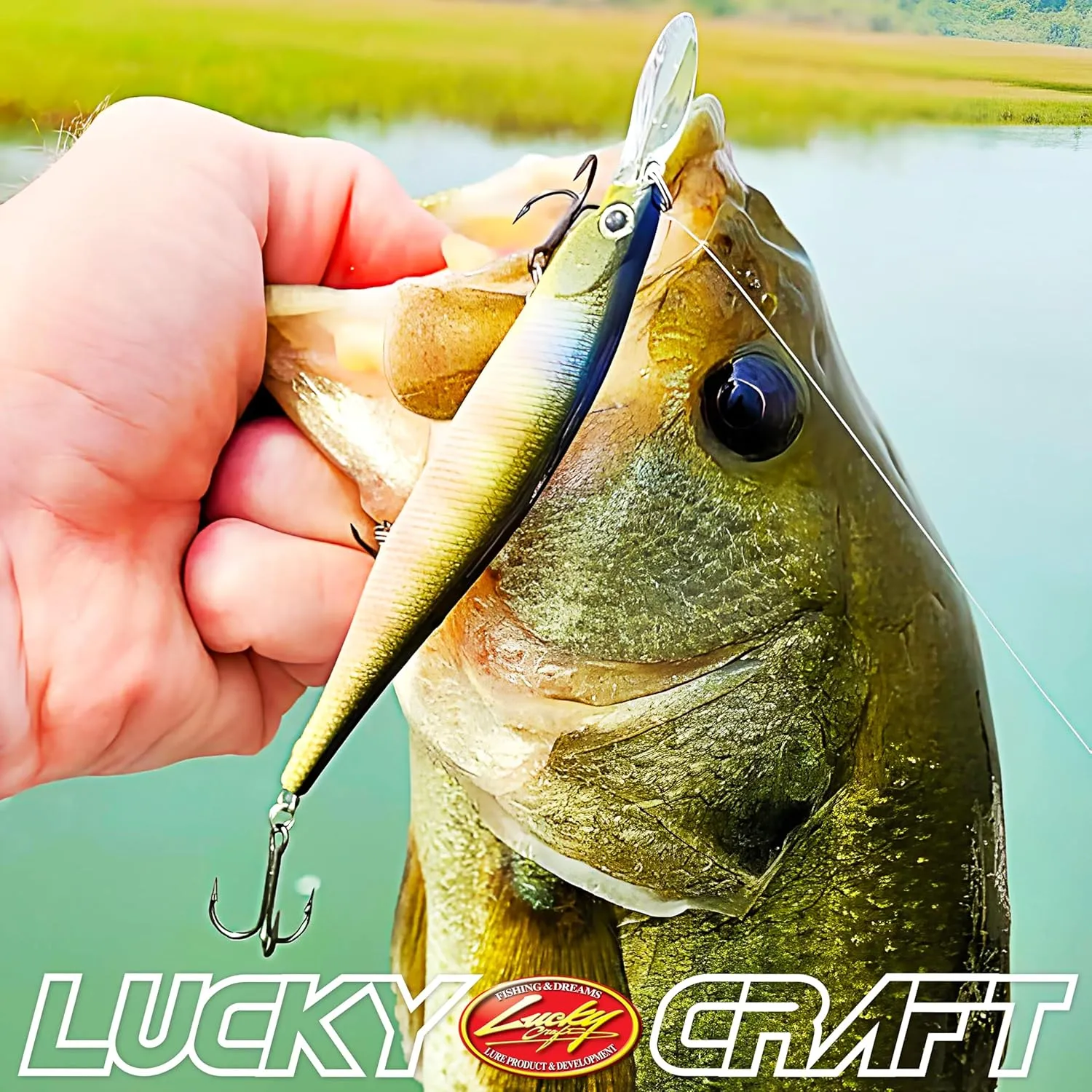 LUCKY CRAFT Lightning Pointer 100DD, Freshwater Bass Fishing Lure, Jerkbait, Smallmouth, Walleye, Pike, Suspending, Tournament Winning, Deep Diver, Fishing Gear, Fishing Accessories, Fishing Tackle